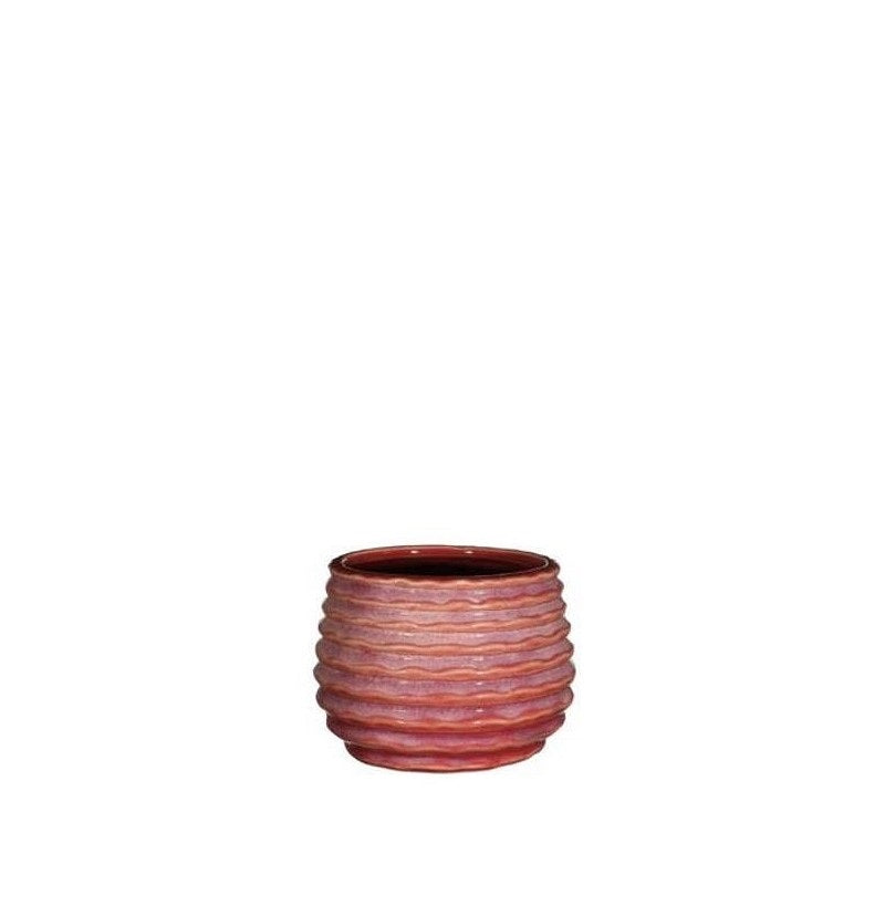Pot Pink Carmine Rise Ø6,5 x h: 8 cm (12 Pcs)