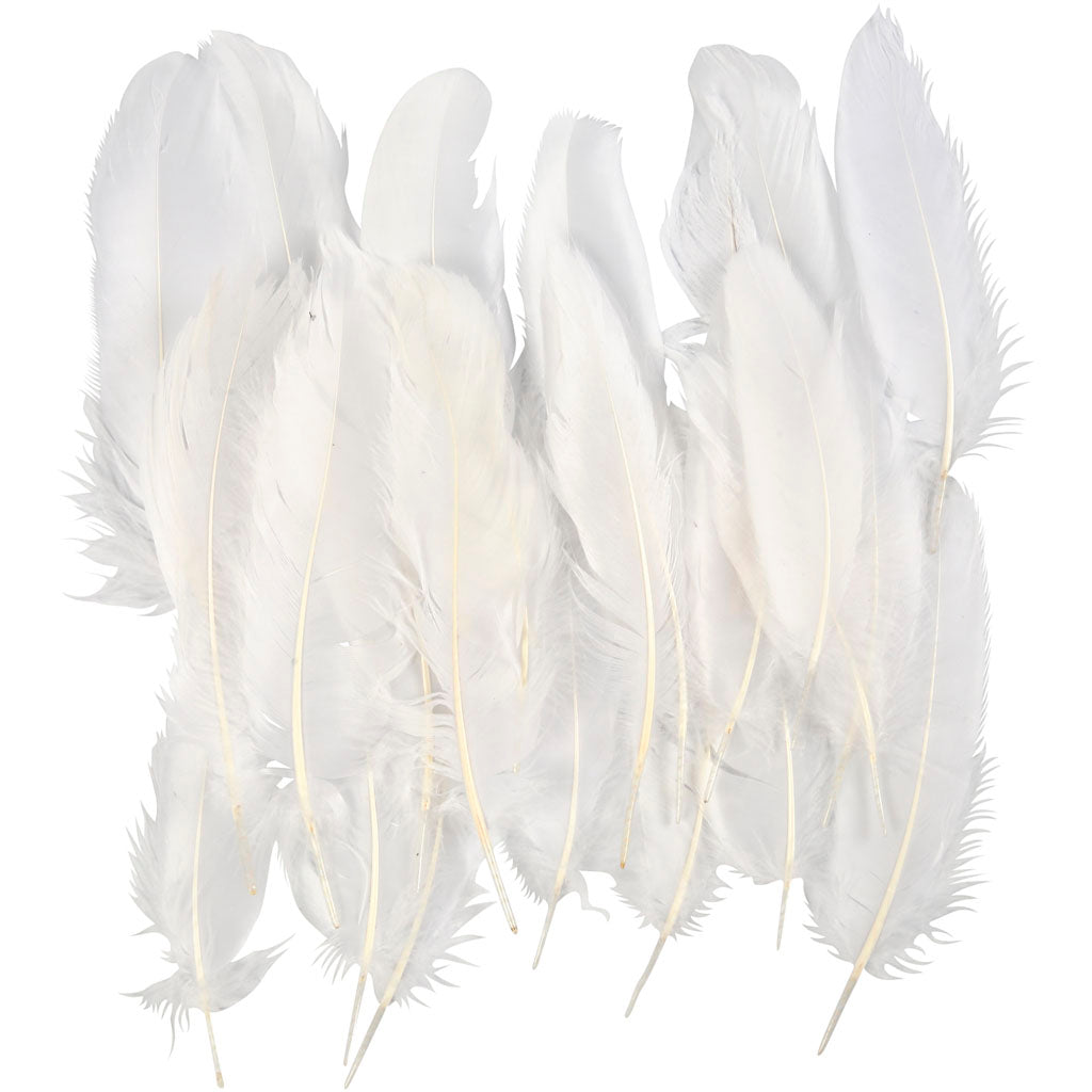 Feathers, ca. 10-18 cm, white, 350 pc
