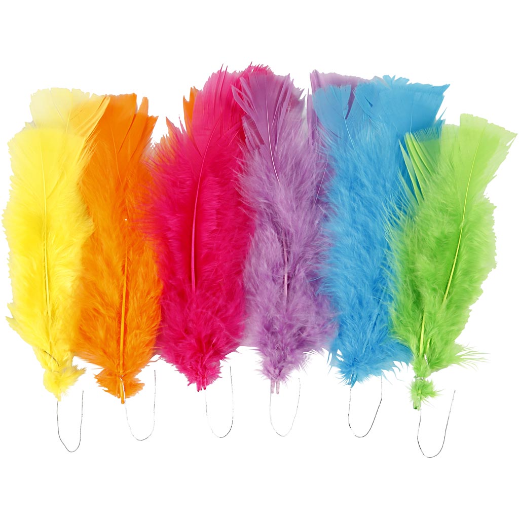 Feathers, L: 11-17 cm, assorted colours, 18 bundle