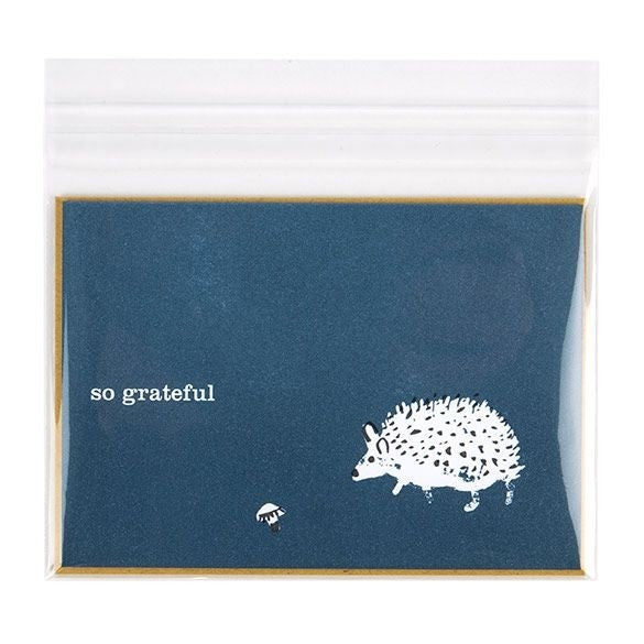 Plastic Bags 13.5x9.2cm Transparent Peel and Seal