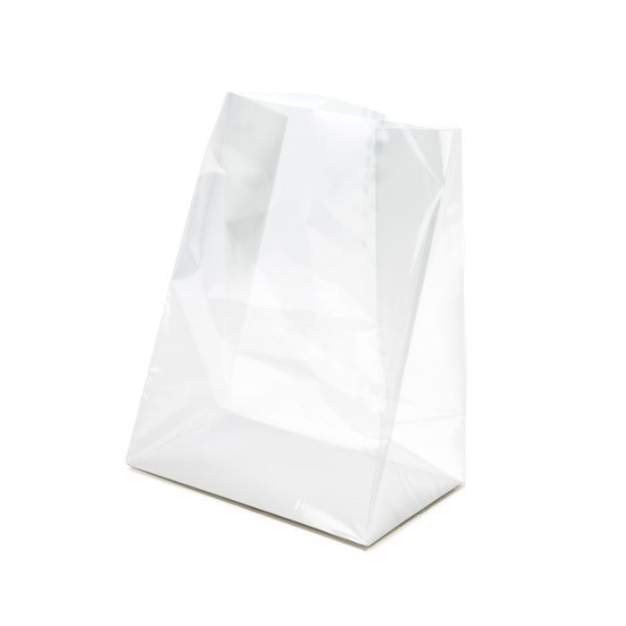 Block Bottom Bags Clear 17.8x10.2x22.9cm with paper insert