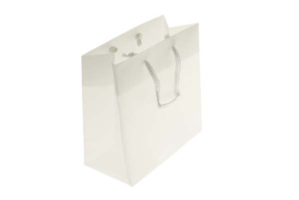 Gift Bags 16x7.6x16cm with carrying Cords