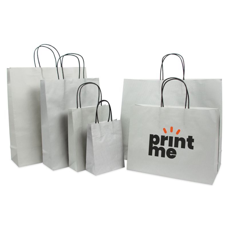 Sac à poignées torsadées en papier de luxe avec fond en carton 14+7x19 cm Argent (250 pcs) [FP-007019]