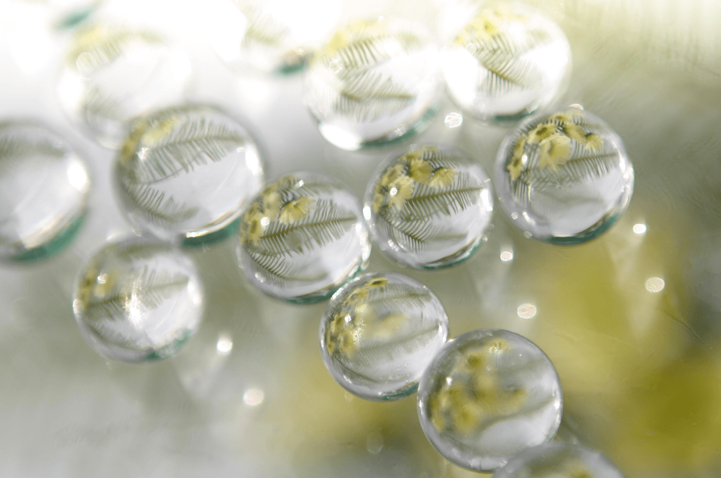 Perles d'eau Ø 10-12 mm [IFS-10320]