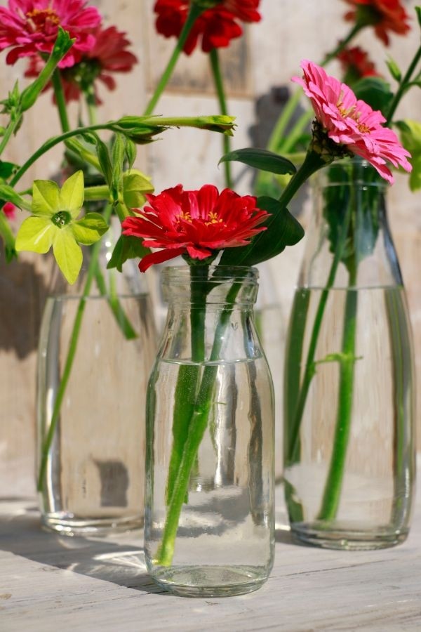 Bouteille de lait en verre 250ml 14cm de haut Ø 6cm (plateau avec 24 pièces) [IFS-129191]