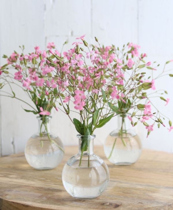 Bouteille ronde en verre de 10cm de haut Ø 8cm (plateau de 24 pièces) [IFS-129193]