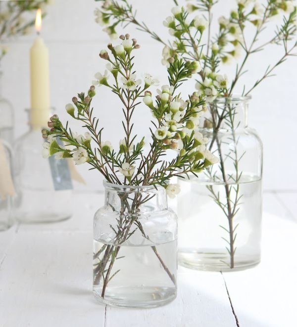 Fiole en verre de 10cm de haut Ø 7cm (plateau de 24 pièces) [IFS-129194]