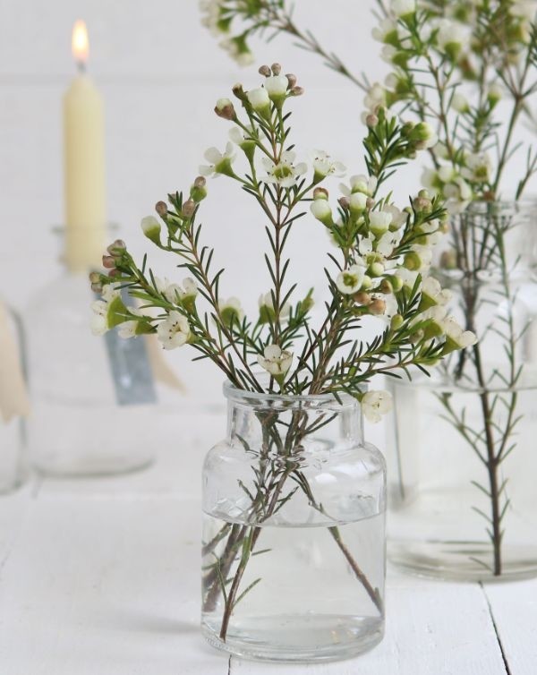 Fiole en verre de 10cm de haut Ø 7cm (plateau de 24 pièces) [IFS-129194]