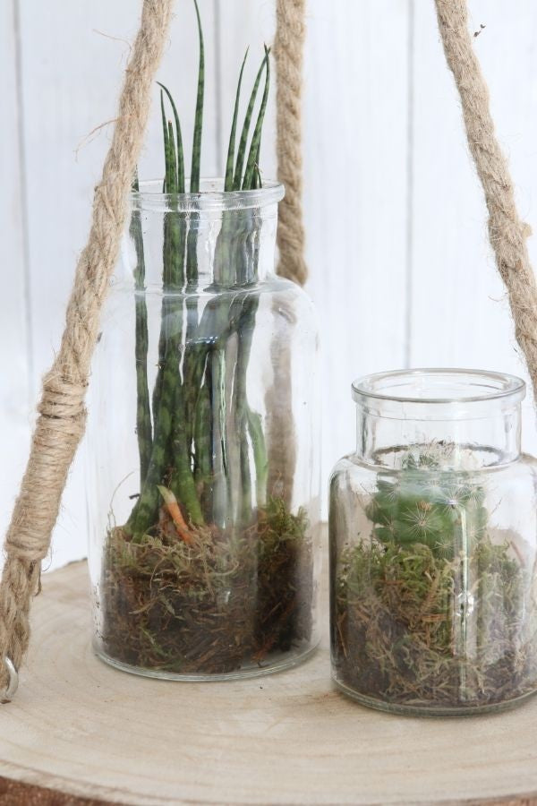 Fiole en verre de 16cm de haut Ø 8cm (plateau de 12 pièces) [IFS-129195]