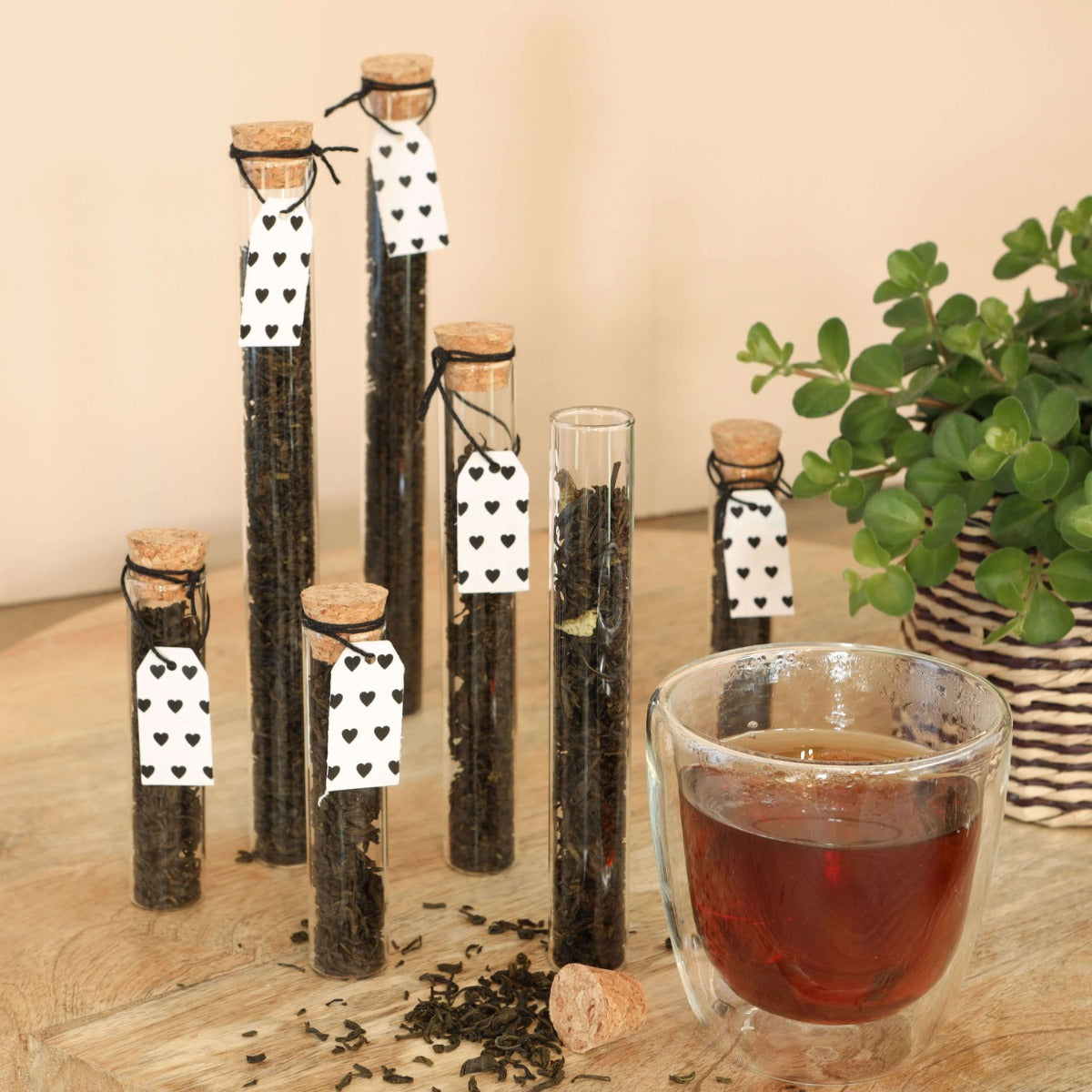 Tube en verre Ø2cm et 19cm de haut (12 pièces.) [IFS-29108]