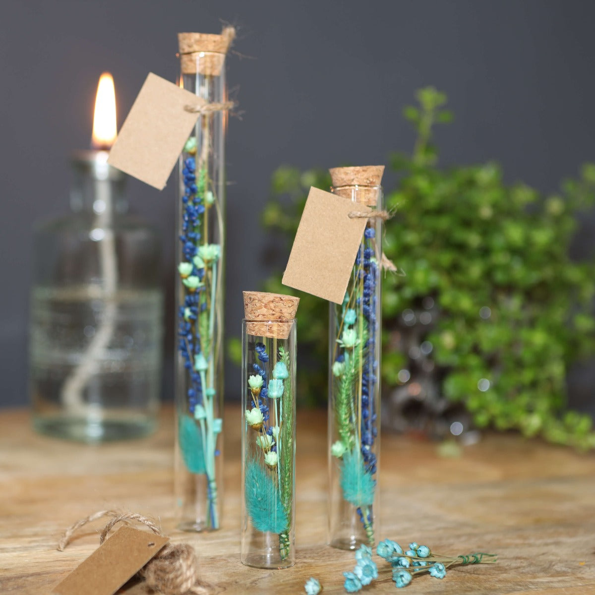 Tube en verre Ø2cm et 19cm de haut (12 pièces.) [IFS-29108]