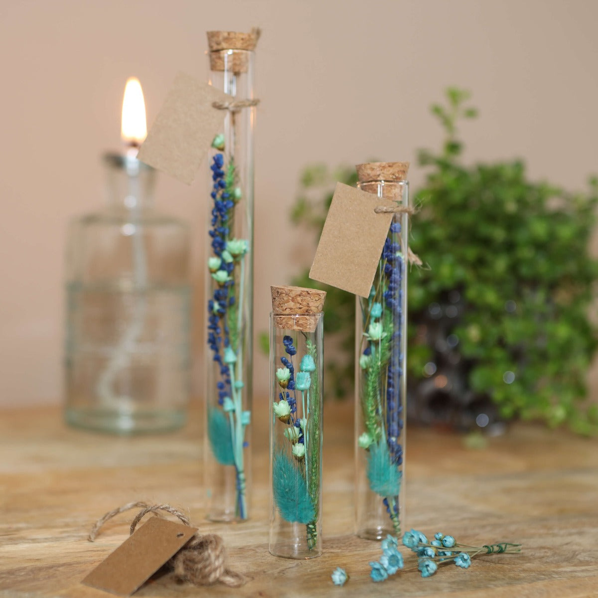 Tube en verre Ø2cm et 19cm de haut (12 pièces.) [IFS-29108]