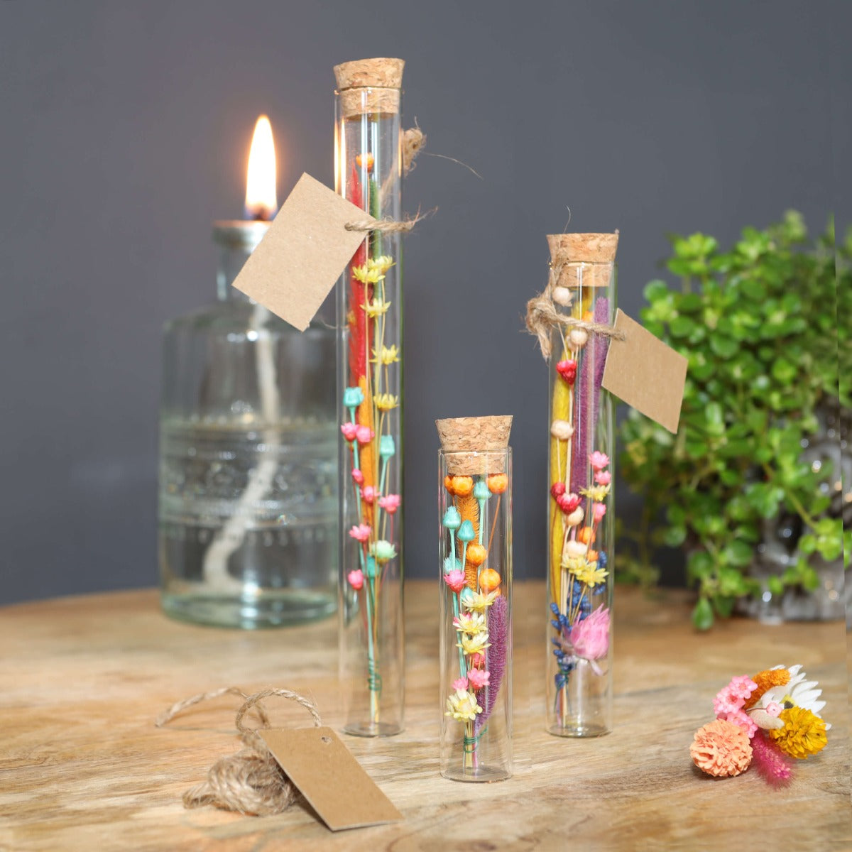 Tube en verre Ø2cm et 19cm de haut (12 pièces.) [IFS-29108]