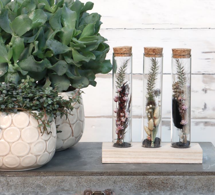 Tubes en verre Ø3cm 3 tubes sur planche de bois (12 pièces.) [IFS-29148]