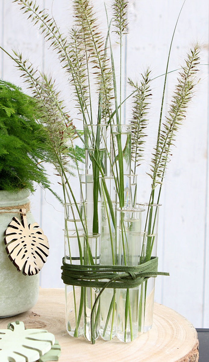 Tube à essai en verre de 2 cm de diamètre et de 12,5 cm de hauteur, avec rebord (lot de 12 pièces) [IFS-29204]
