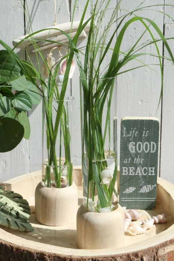 Base en bois avec tube à essai de 5 cm de diamètre et de 18 cm de hauteur (1 pièce) [IFS-29218].