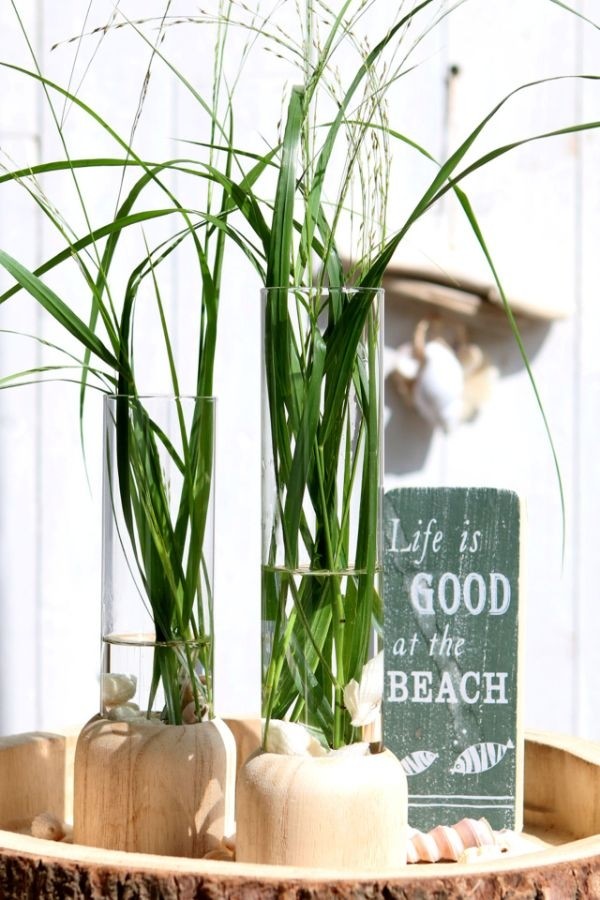 Base en bois avec tube à essai de 5 cm de diamètre et de 18 cm de hauteur (1 pièce) [IFS-29218].