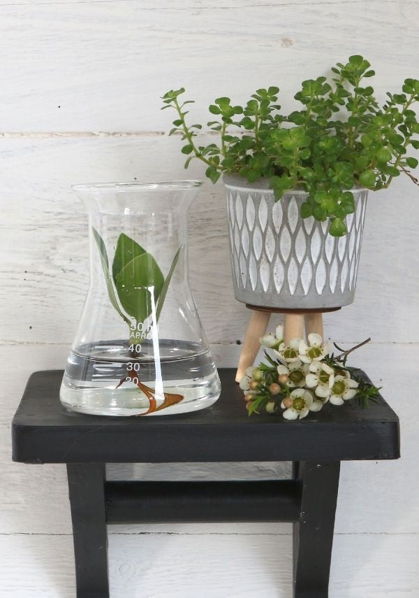 Erlenmeyer en verre Ø 8cm et 11cm de hauteur (1 pièce) [IFS-29256].