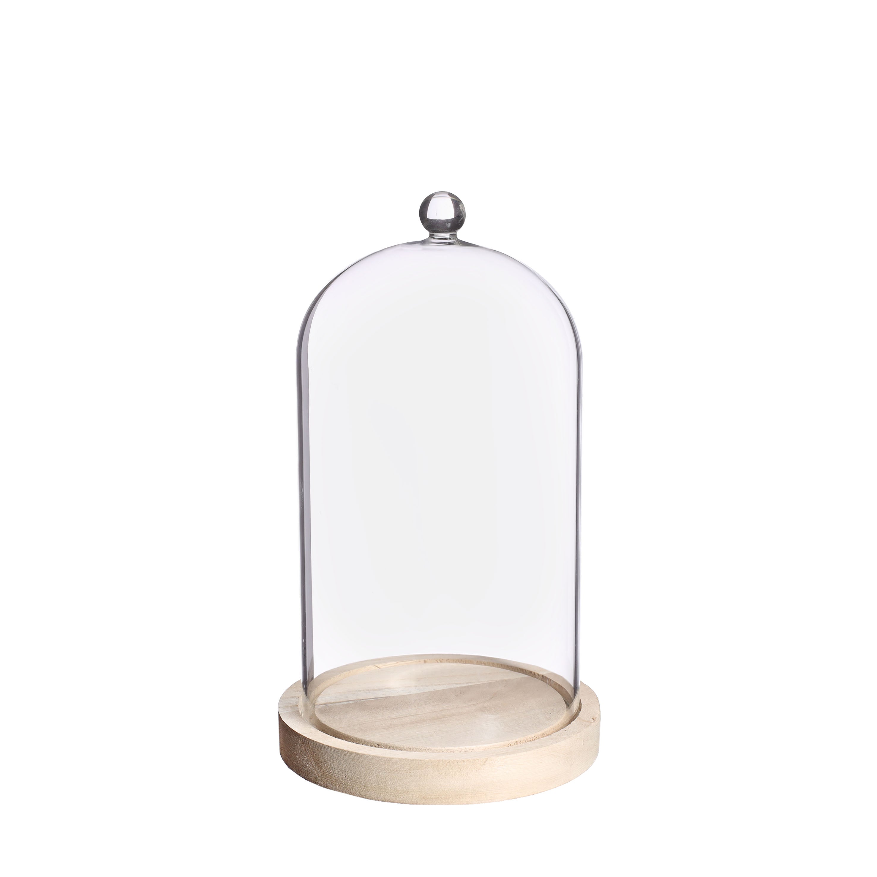 Glass dome with knob and wood base Ø14 h.23,5 cm (1 pc)