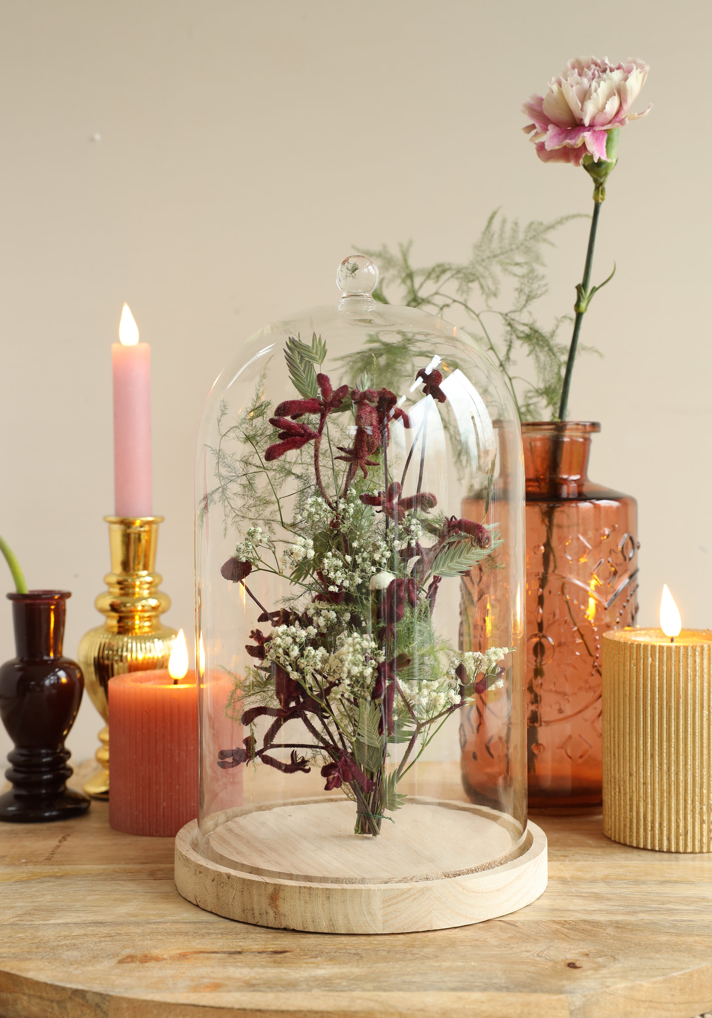 Cloche en verre avec bouton en verre avec base en bois Ø17 h.28 cm (1 pc) [IFS-29315]