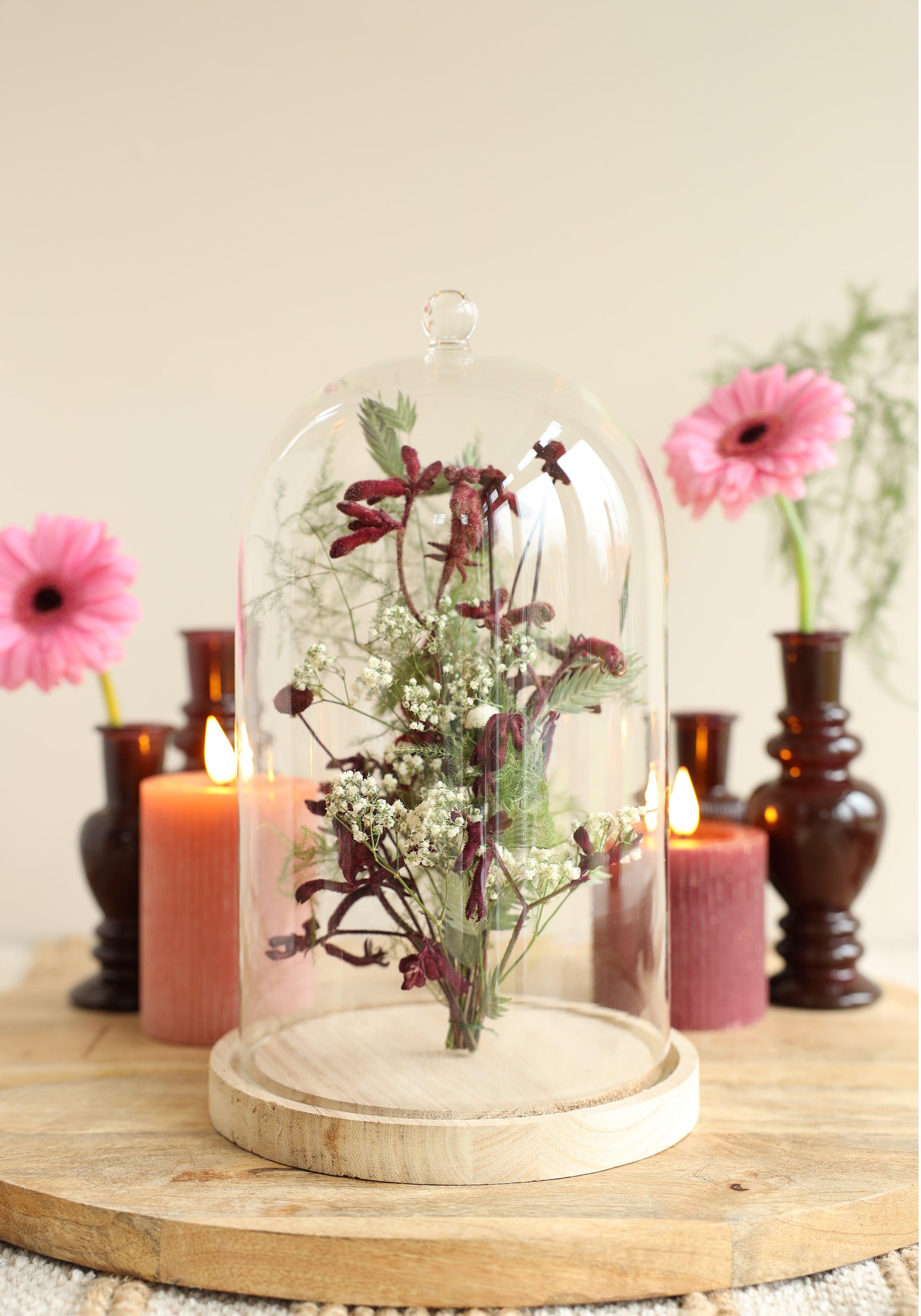 Cloche en verre avec bouton en verre avec base en bois Ø17 h.28 cm (1 pc) [IFS-29315]