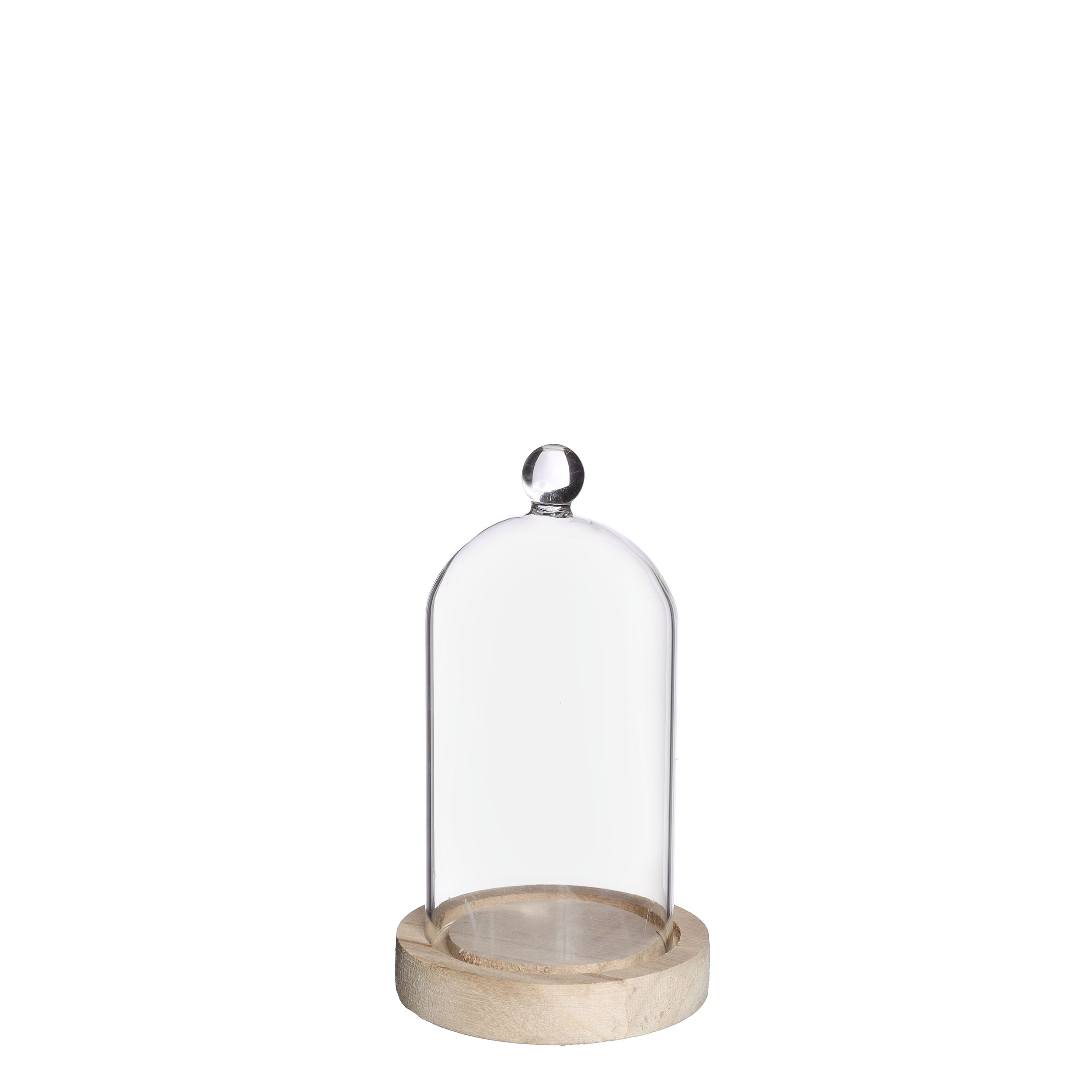 Glass dome with knob and wood base Ø10 h.17 cm (1 pc)