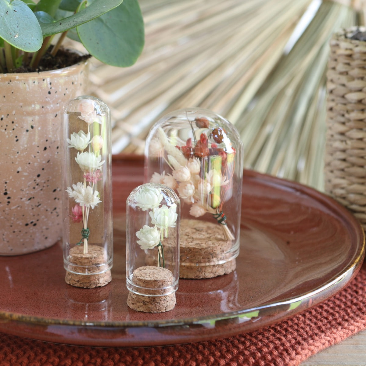 Mini dome en verre Ø2cm et 4cm de haut avec liège (12 pièces.) [IFS-29408]