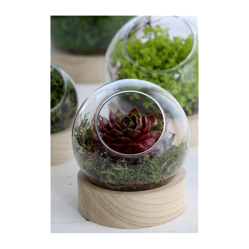 Vase boule en verre avec base en bois Ø 13 cm, H. 14 cm (1 pièce) [IFS-29412]