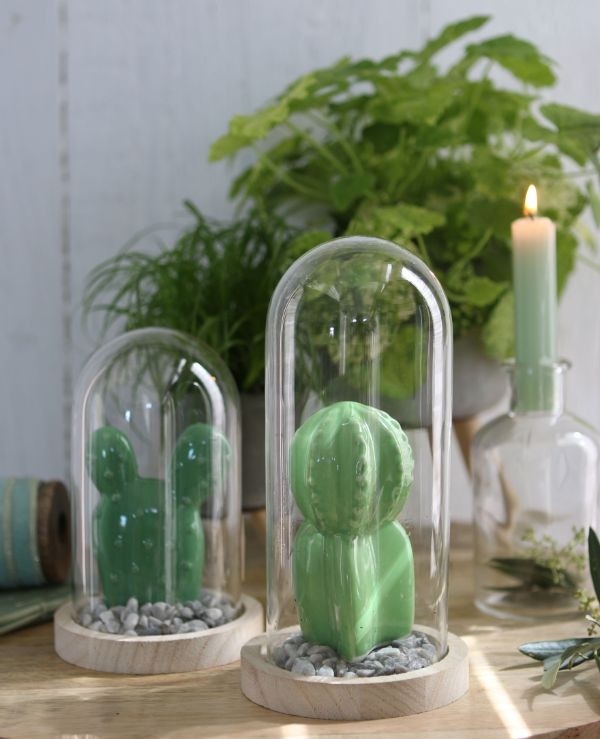 Dôme en verre avec base en bois Ø 10cm et 20 cm de hauteur (1 pièce) [IFS-29429]