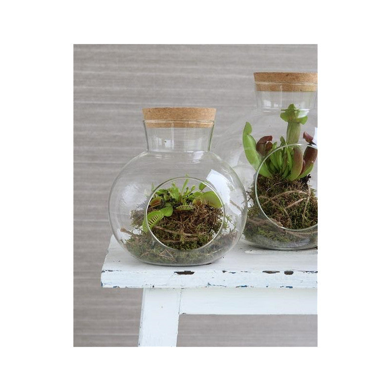 Sphère en verre avec bouchon en liège Ø 14 cm, H. 15 cm (1 pièce) [IFS-29438]