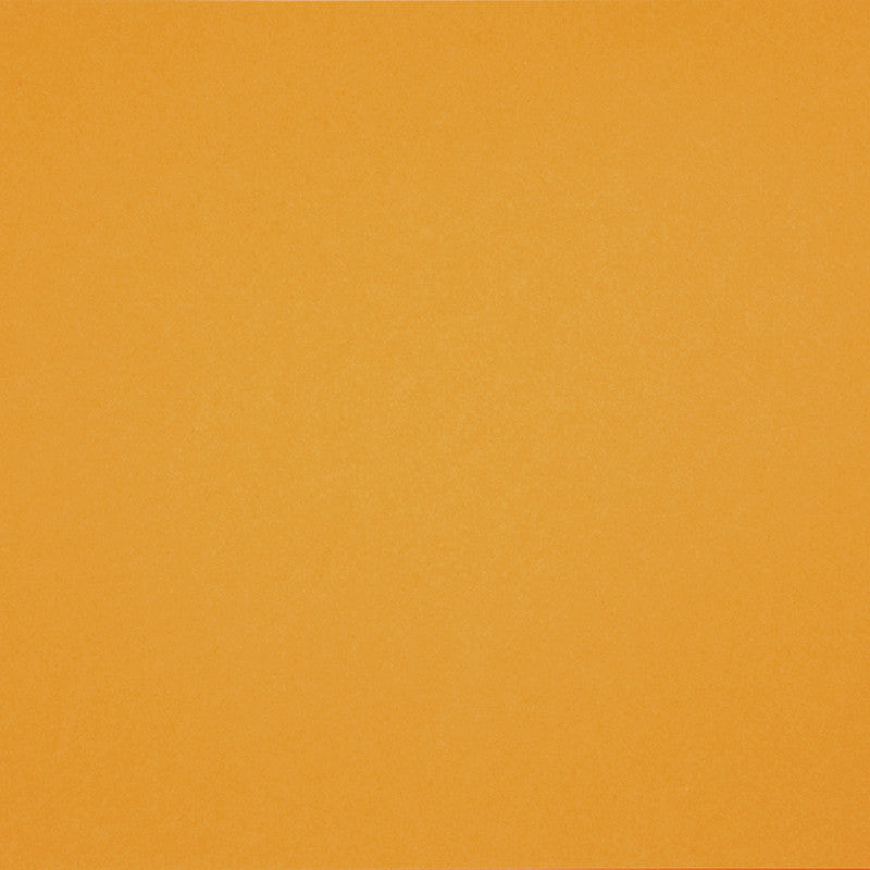 Papier cartonné Mi-Teintes, A4, feuille 210x297 mm, 160 gr, Canary, 1 flles [HOB-294400]