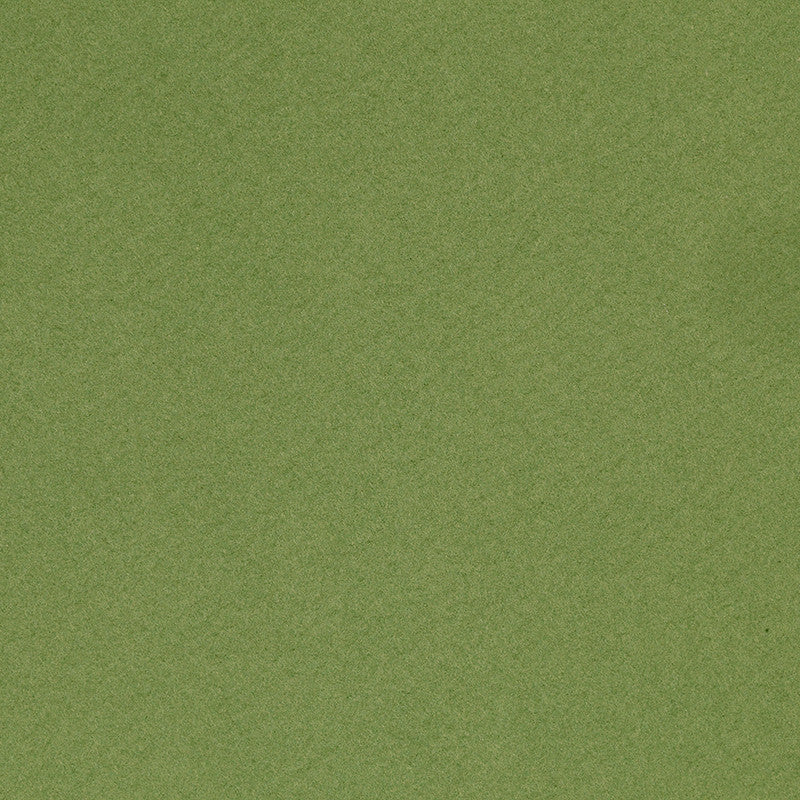 Papier cartonné Mi-Teintes, A4, feuille 210x297 mm, 160 gr, Apple Green, 1 flles [HOB-294475]