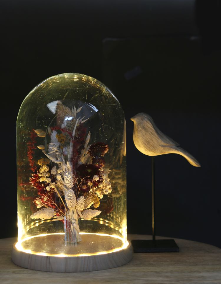 Cloche à LED en verre avec base en bois Ø17cm (1 pièce) [IFS-29495]