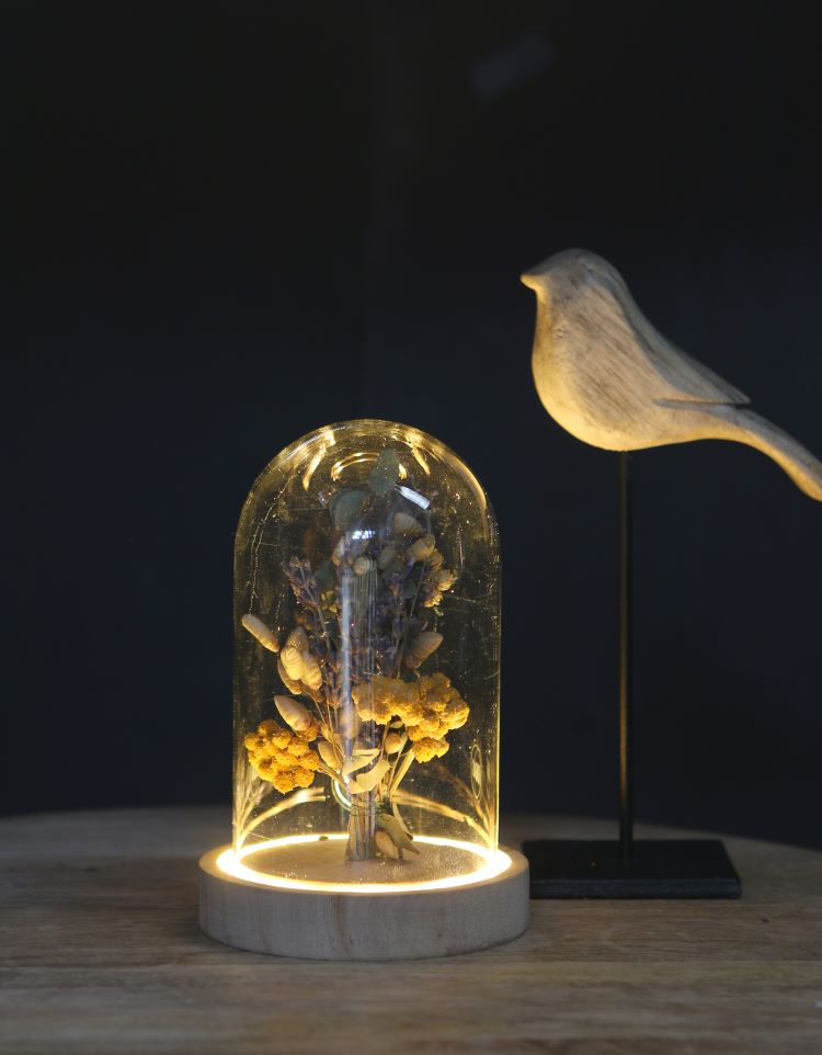 Cloche à LED en verre avec base en bois Ø10cm (1 pièce) [IFS-29498]