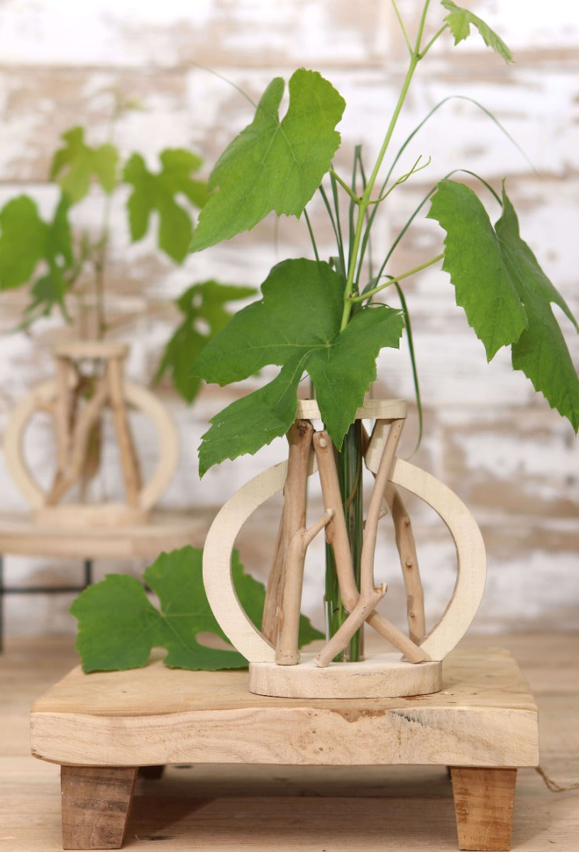 Grand Tube à essai avec support en bois (1 pièce.) [IFS-29645]