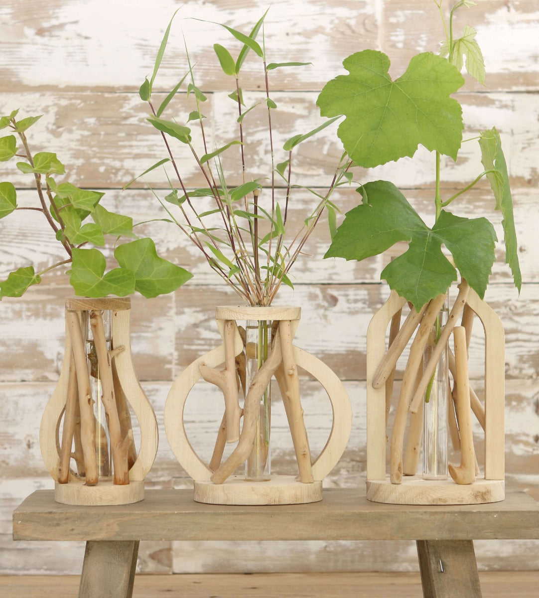 Tube à essai moyen avec support (1 pièce.) [IFS-29647]