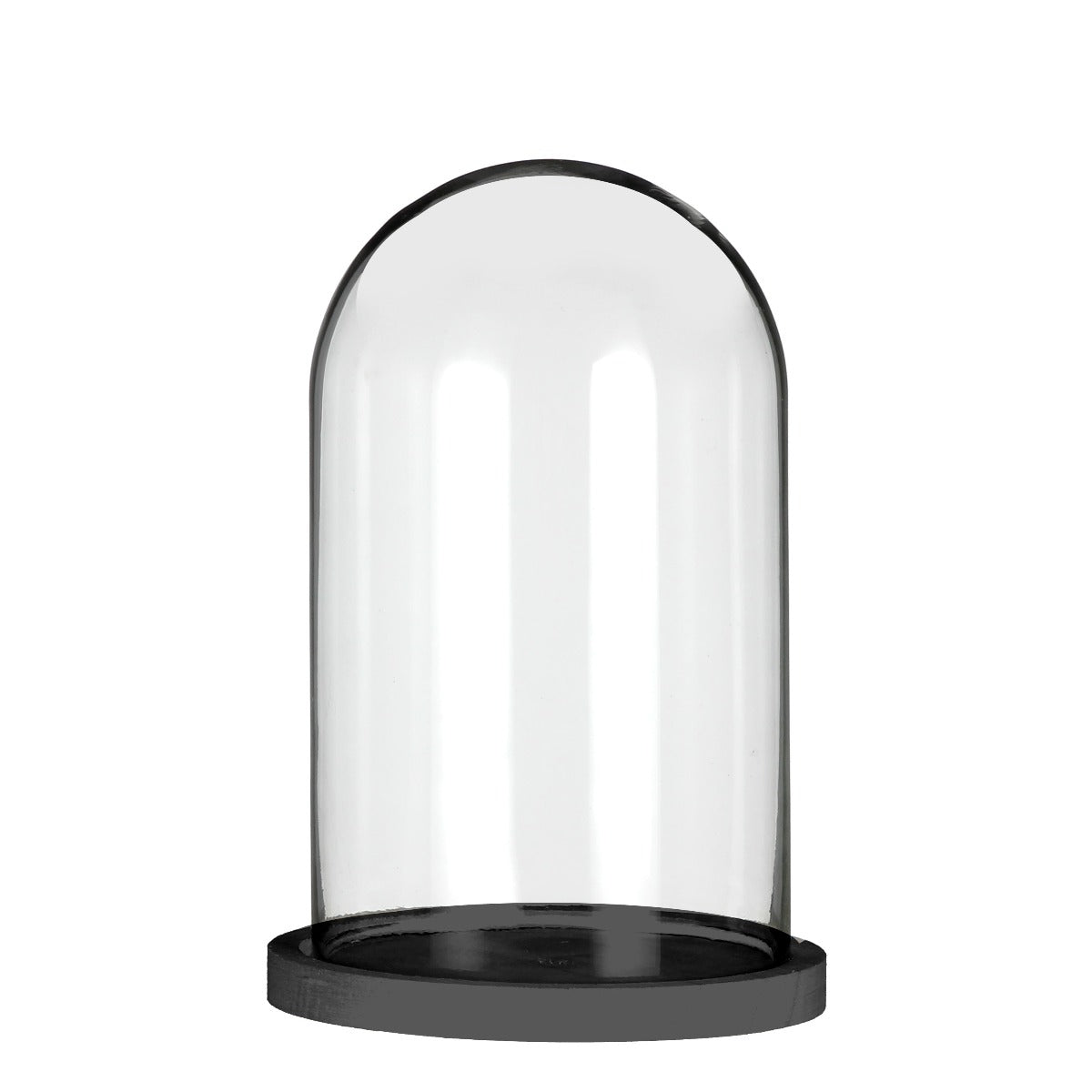 Glass stolp with black wooden base Ø14cm H: 21cm (1 pcs.)