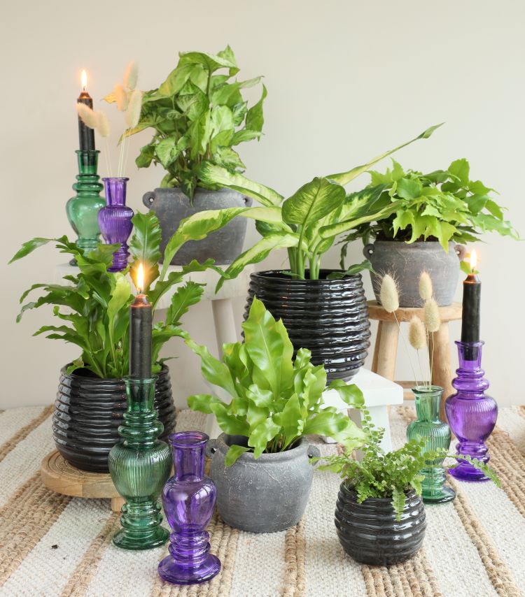 Vase Venice Vert H: 15,5 x Ø5,7 cm (12 Pcs) [IFS-29895]