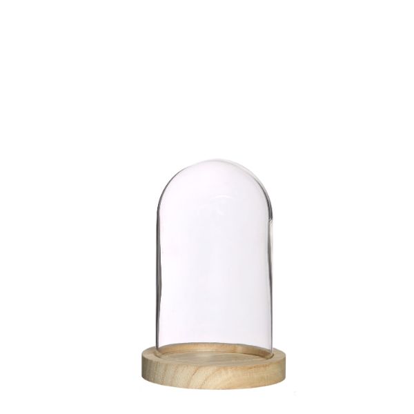 Glass Dome with Wooden Base Ø10cm and 15 cm tall (1 pc)