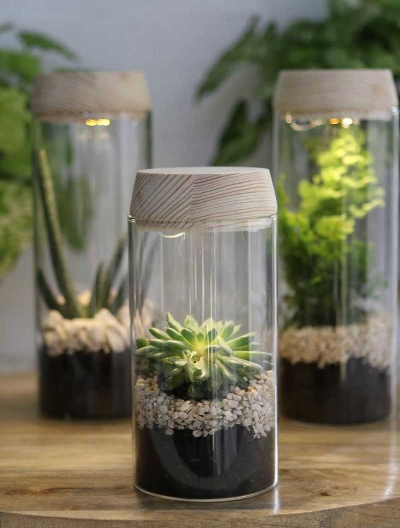 Tube à essai Ø8 h: 18 cm w. couvercle en liège solaired (1 pc) [IFS-30173]