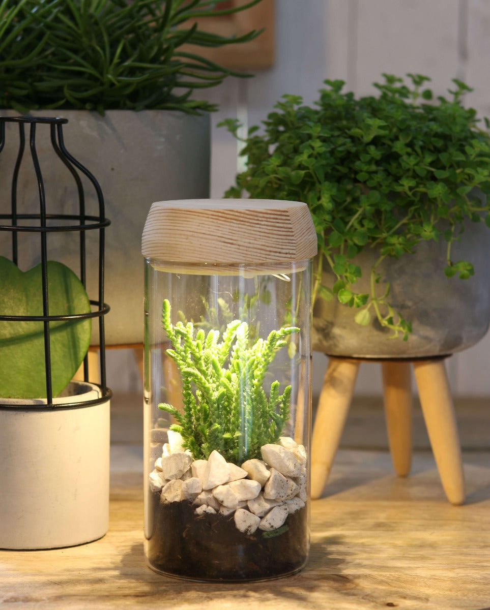 Pot en verre rond avec LED dans le couvercle en bois 18cm de haut (1 pièce.) [IFS-30180]