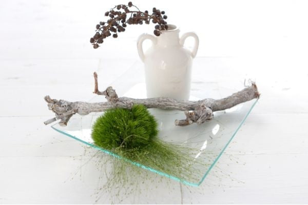 Plateau de verre carré 25x25x2cm d'épaisseur (1 pièce) [IFS-30264]