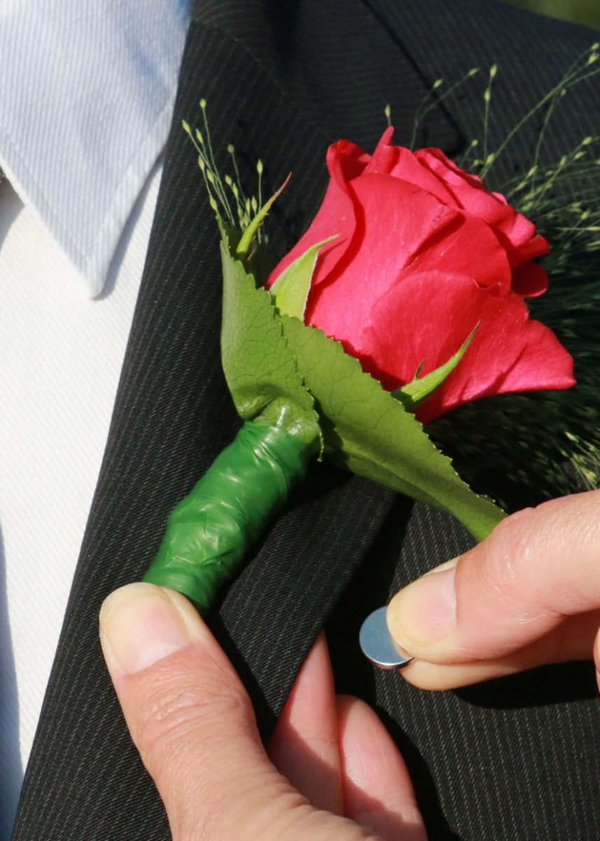 Aimant pack de 50 [IFS-30311]