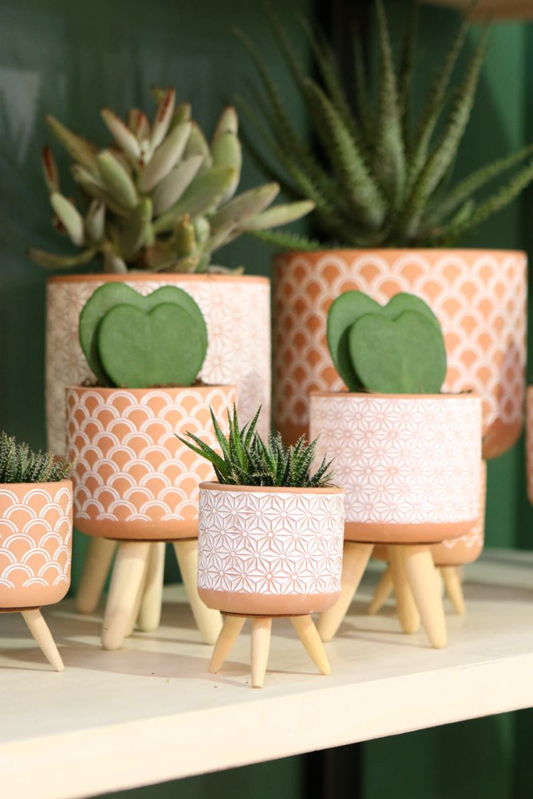 Pot à plantes Terra avec pieds en bois 11cm de haut (6 pièces.) [IFS-33002]