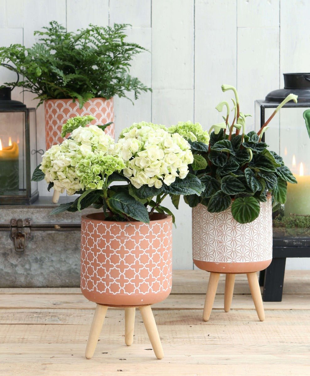 Pot à plantes Terra avec pieds en bois 21.5cm de haut (6 pièces.) [IFS-33005]