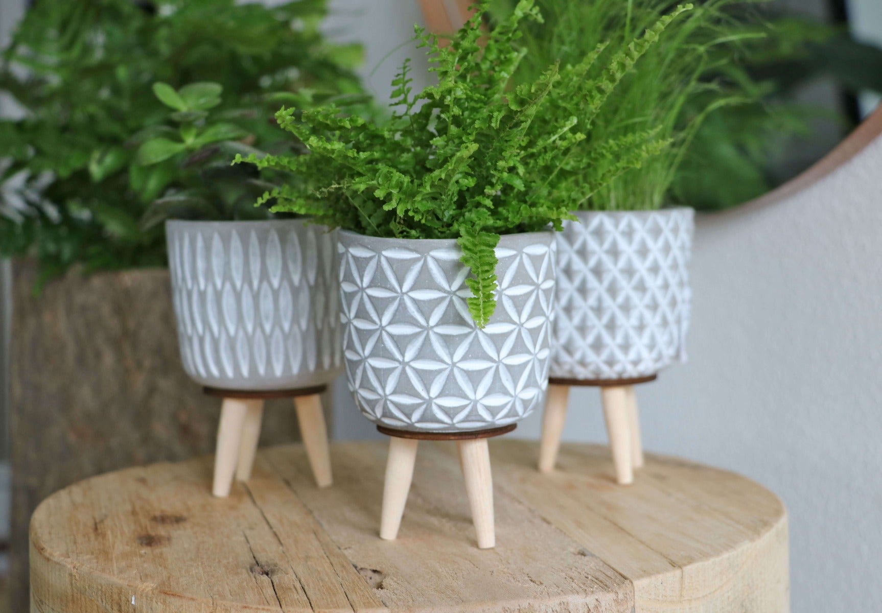 Pot à plantes en Cement avec pieds en bois 11cm de haut (6 pièces.) [IFS-33012]