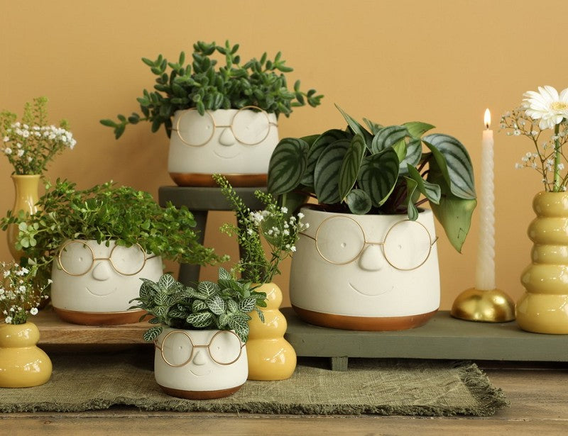 Pot avec verres or Ø13,5 h: 10,5 cm (6 Pcs) [IFS-33098]