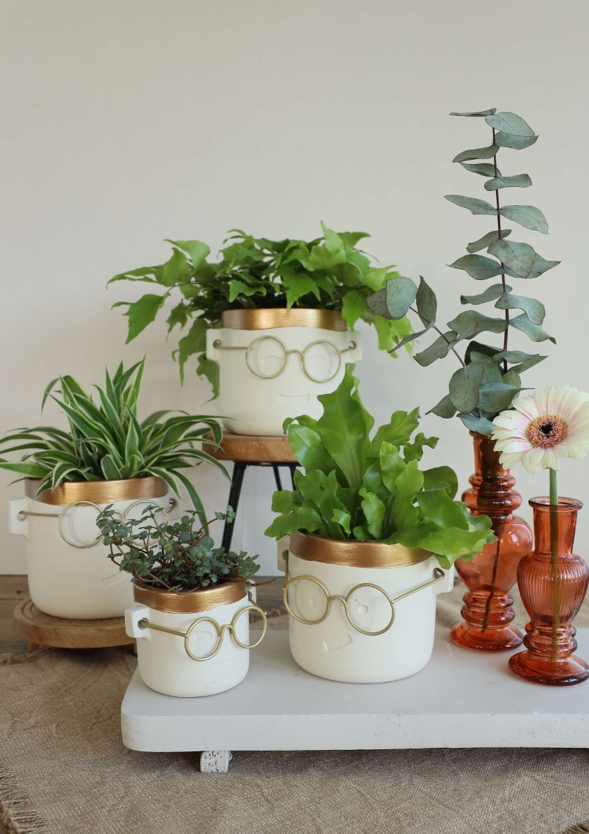 pot de fleurs "harry" or 2 ass. Ø14 h:13,5 cm (6 Pcs) [IFS-33185]