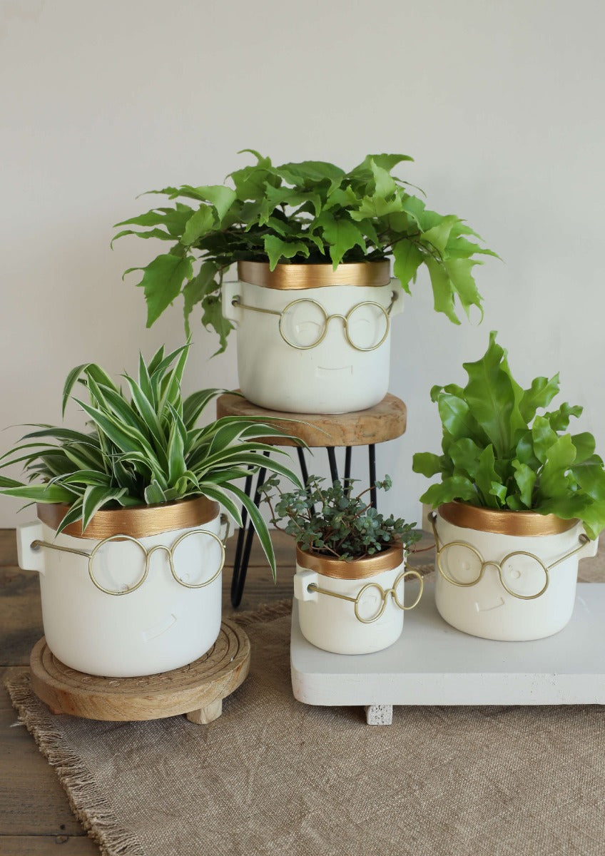 pot de fleurs "harry" or 2 ass. Ø14 h:13,5 cm (6 Pcs) [IFS-33185]