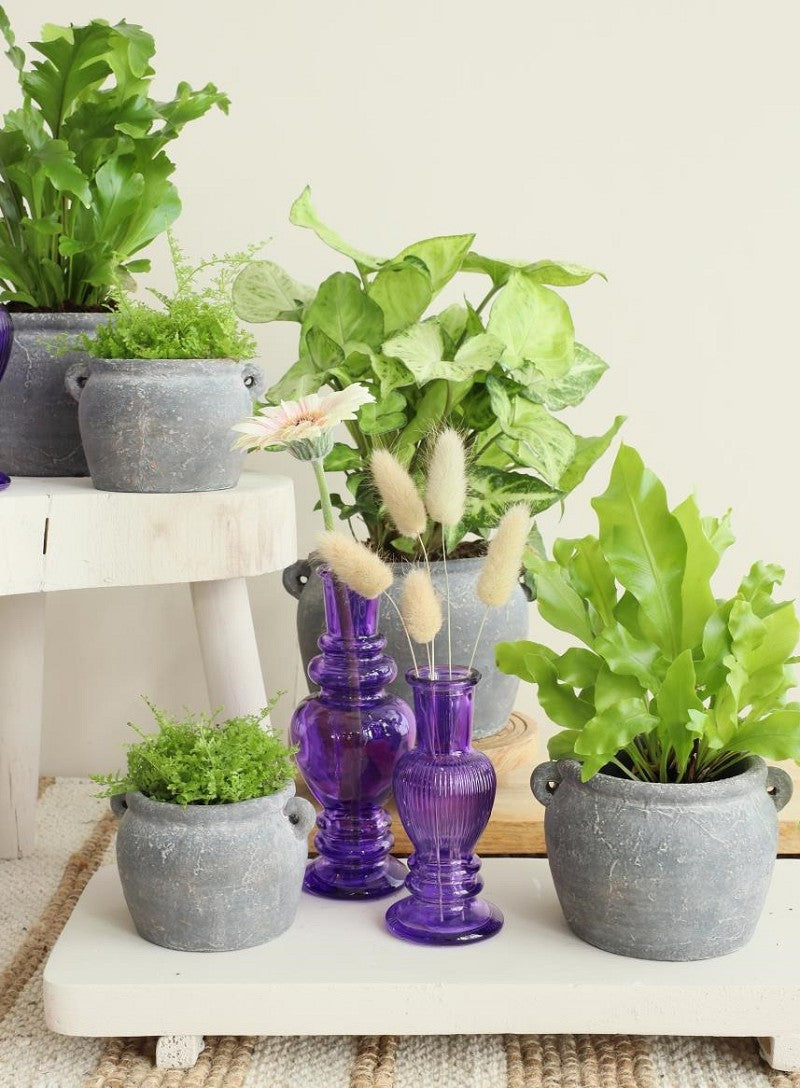 Pot d'amphore 10x8,2x6,5 cm (6 Pcs) [IFS-33242]